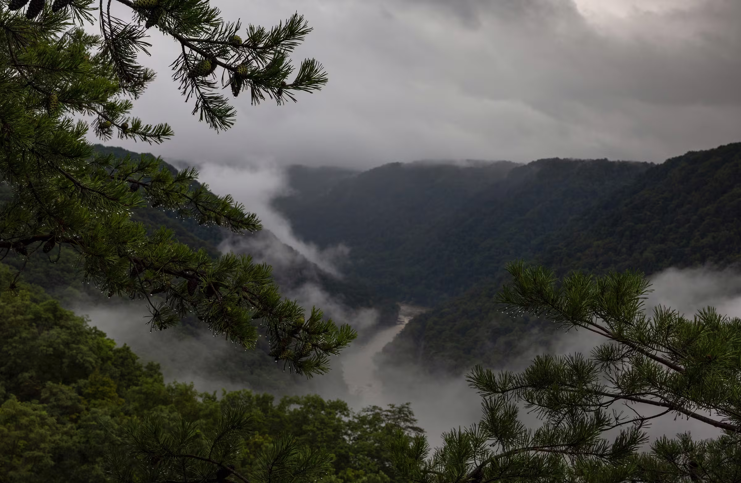 Mist in the New River Gorge, West Virginia