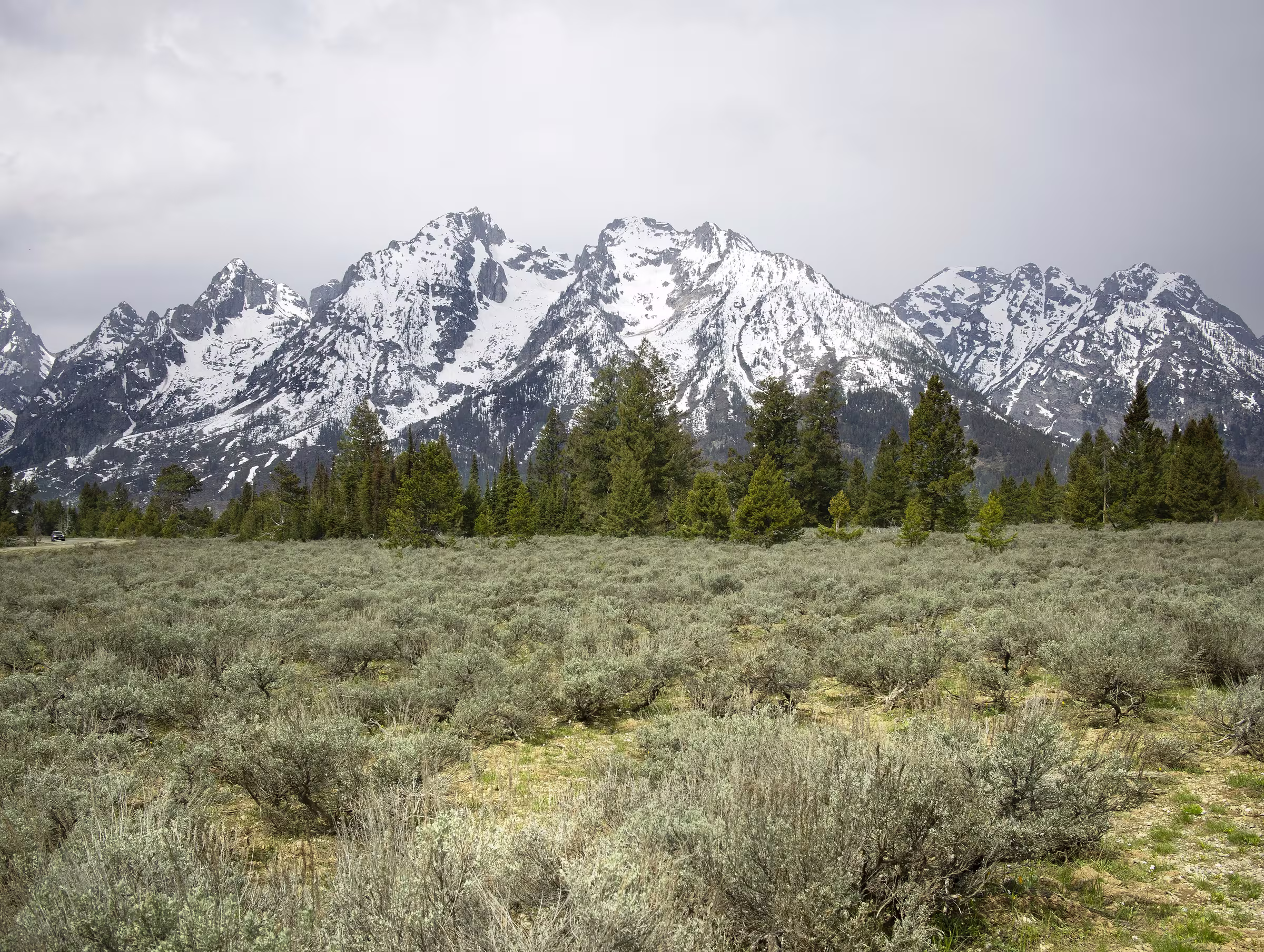 The Teton Range rising above sagebrush in Wyoming